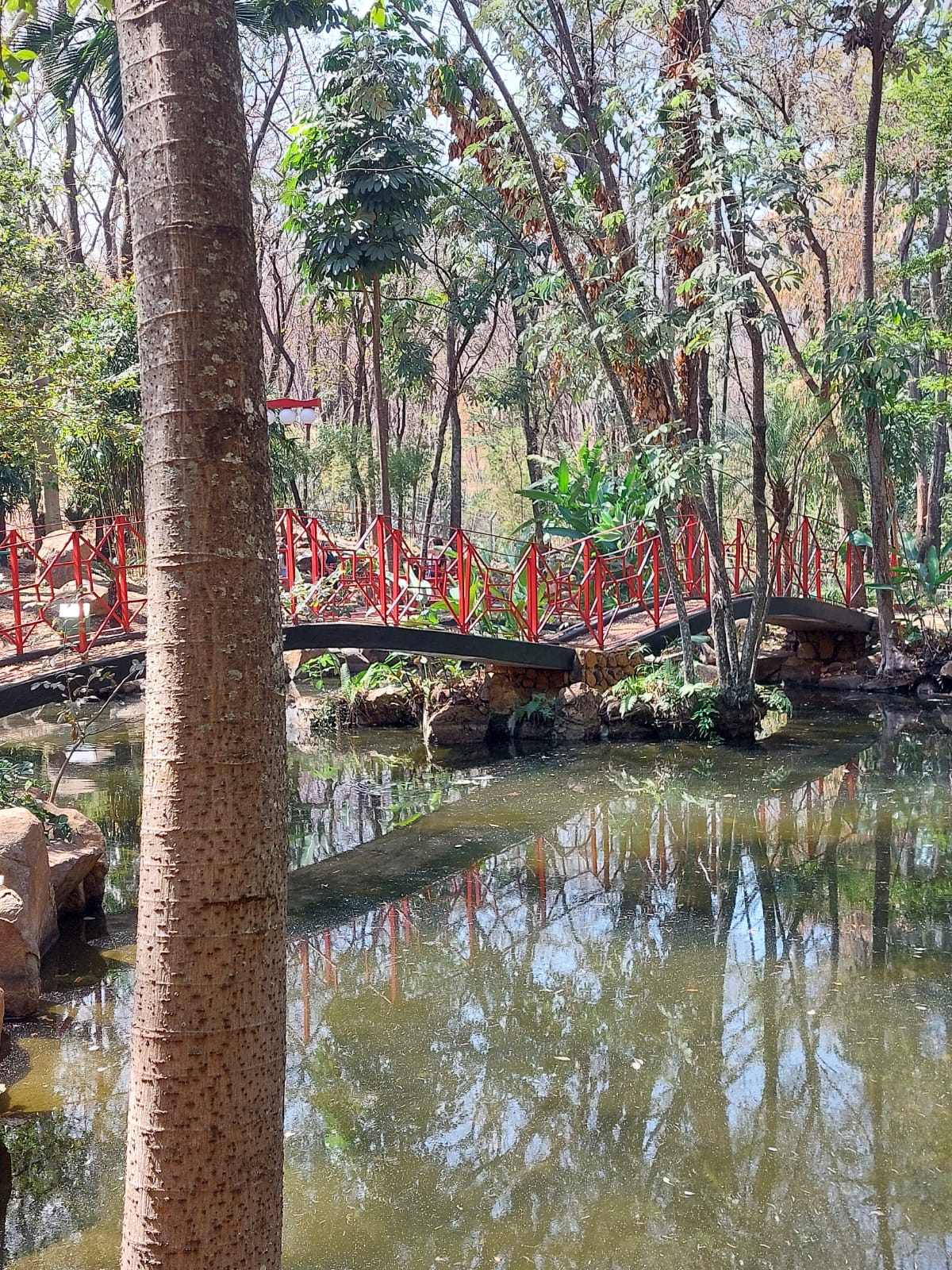 De Japanse tuin in Ribeirão Preto.