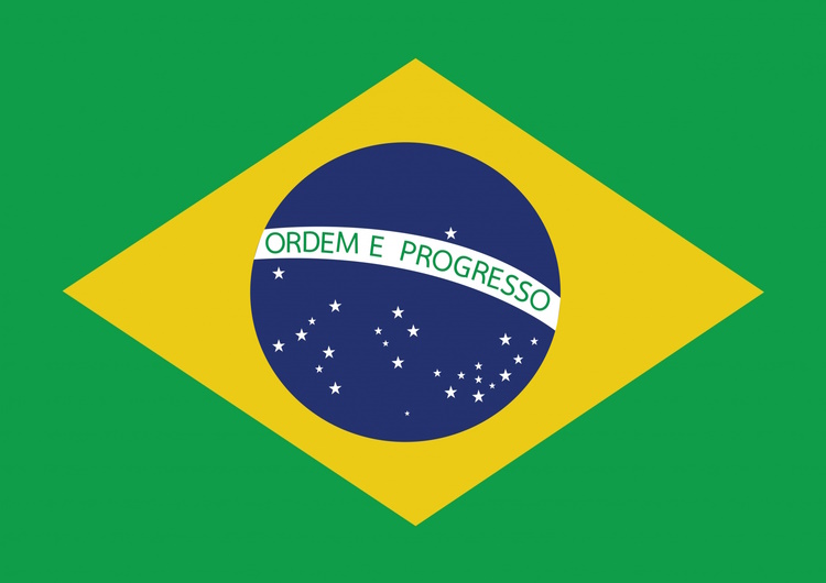 De Braziliaande vlag.