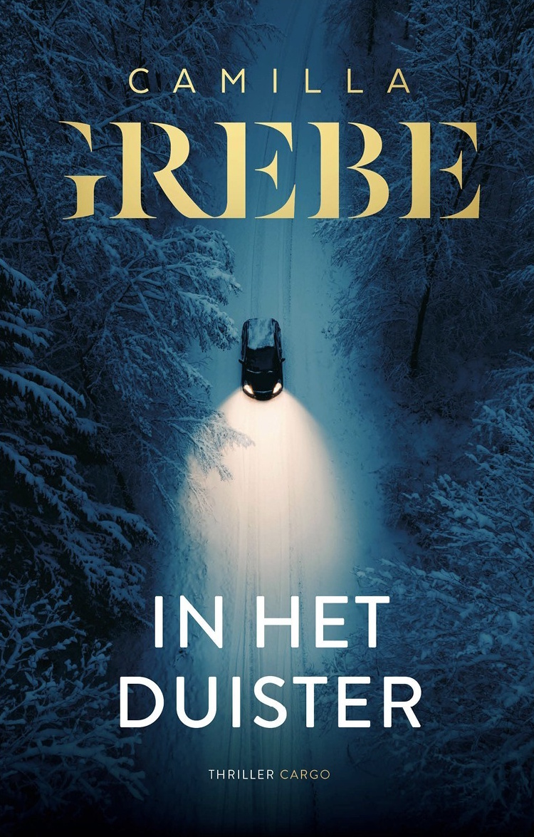 Omslag van de literaire thriller In het duister van Camilla Grebe.